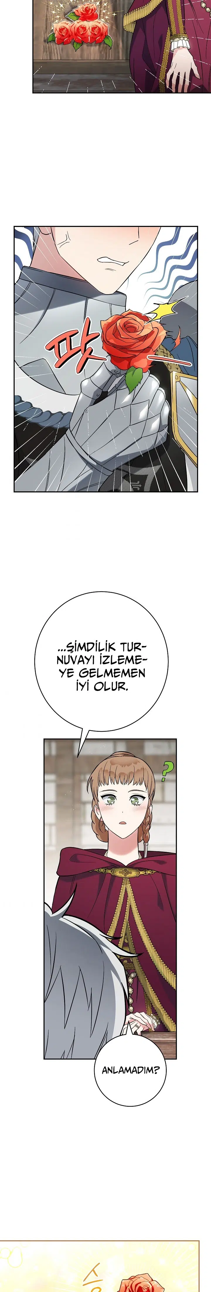 Anlaşmalı Evlilik - Bölüm 41 Sayfa 17