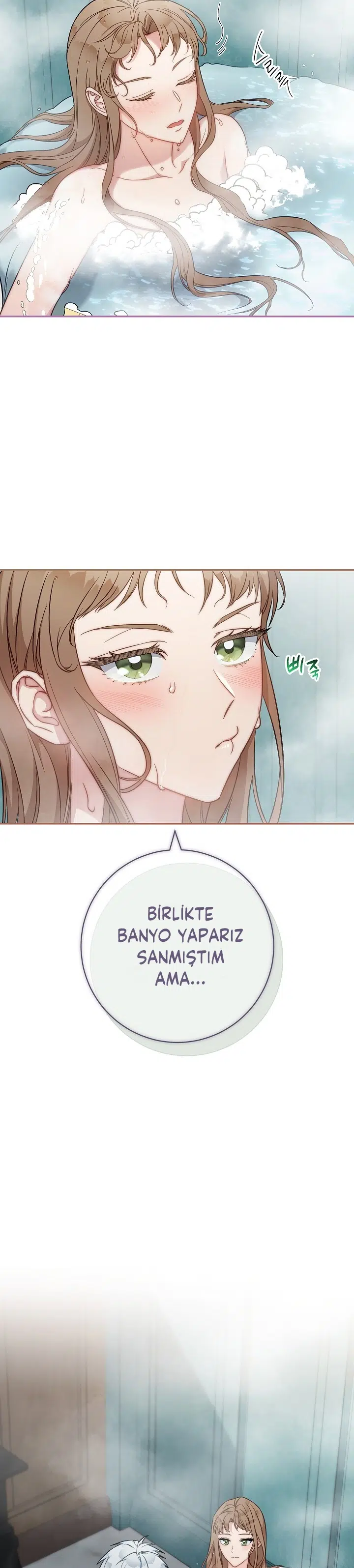 Anlaşmalı Evlilik - Bölüm 49 Sayfa 15