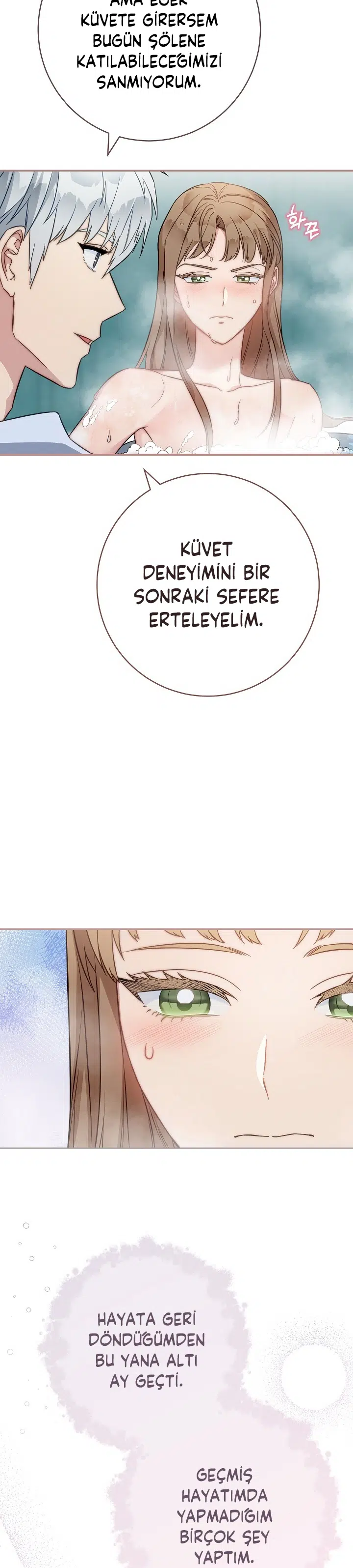 Anlaşmalı Evlilik - Bölüm 49 Sayfa 17