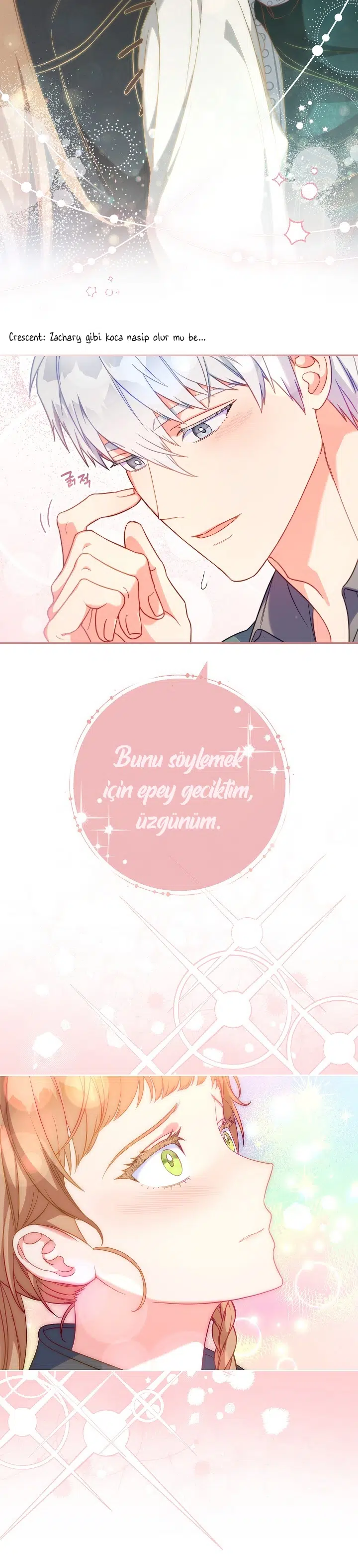Anlaşmalı Evlilik - Bölüm 59 Sayfa 26