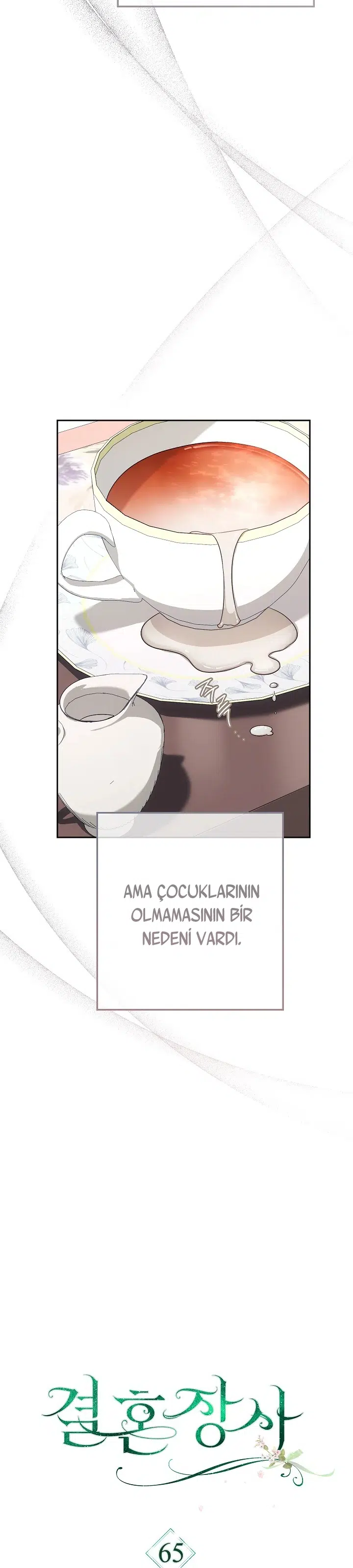 Anlaşmalı Evlilik - Bölüm 65 Sayfa 22