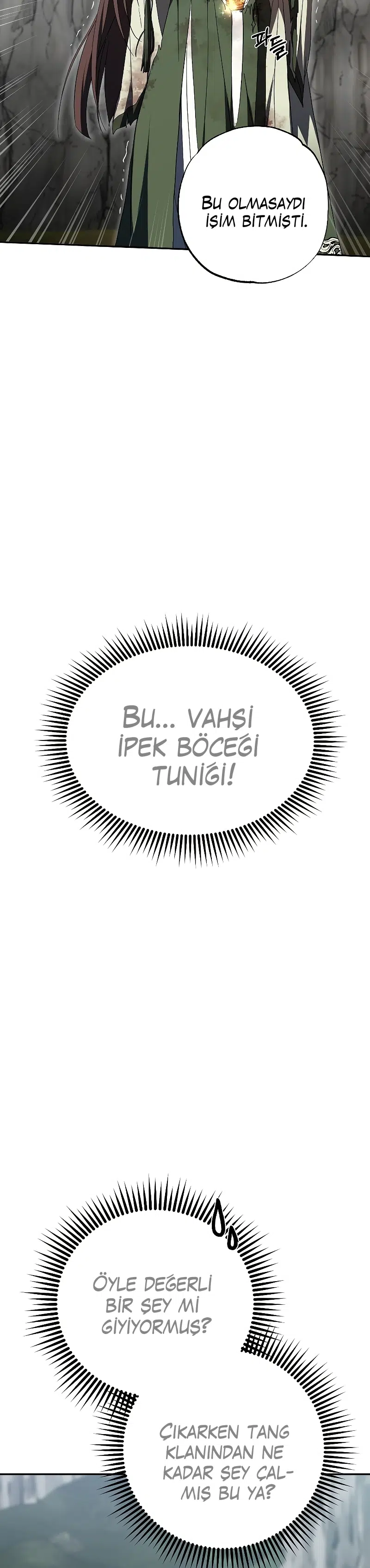 Şamanın Yolu - Bölüm 110 Sayfa 9