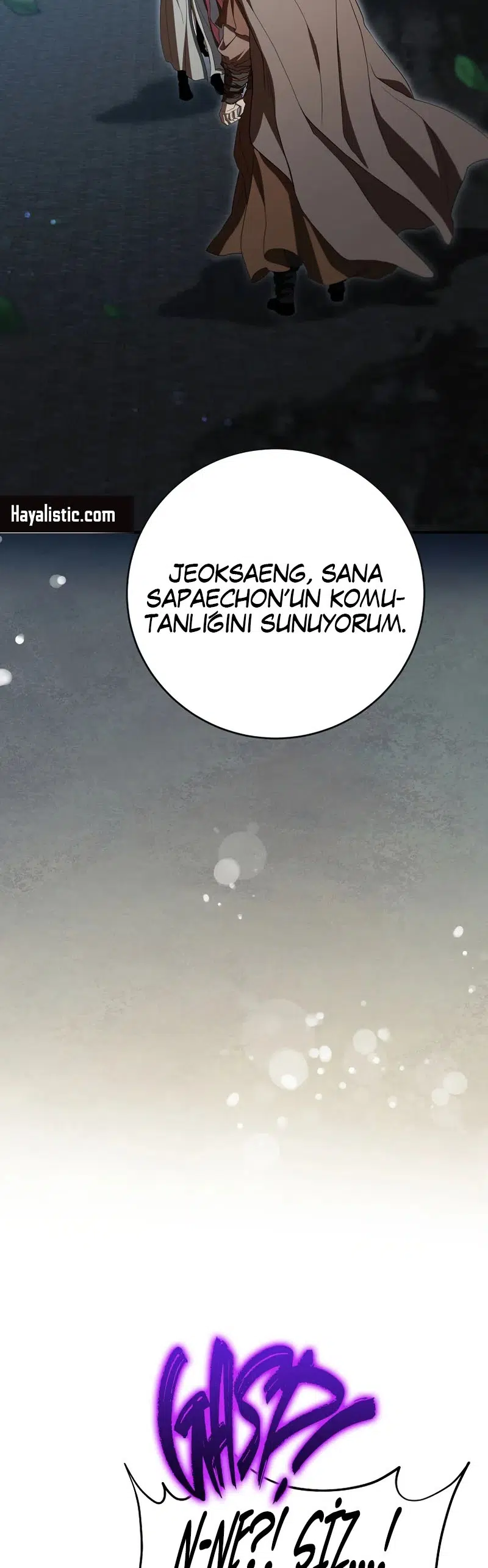 Şamanın Yolu - Bölüm 151 Sayfa 25