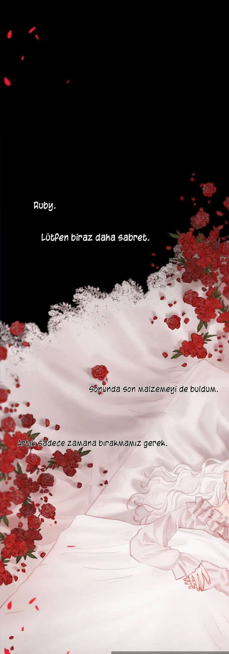 Kara Kış - Bölüm 20 Sayfa 2