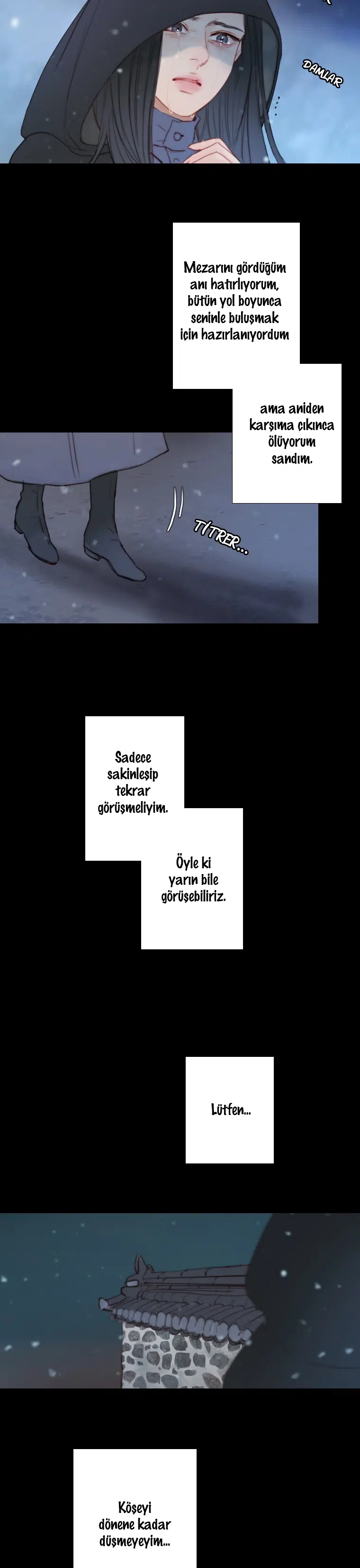 Kara Kış - Bölüm 49 Sayfa 27
