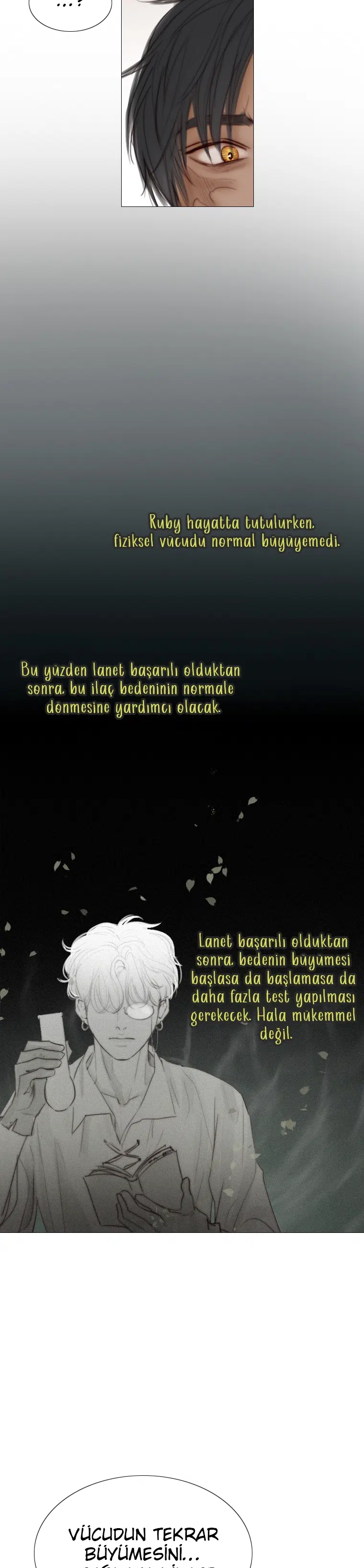 Kara Kış - Bölüm 91 Sayfa 4