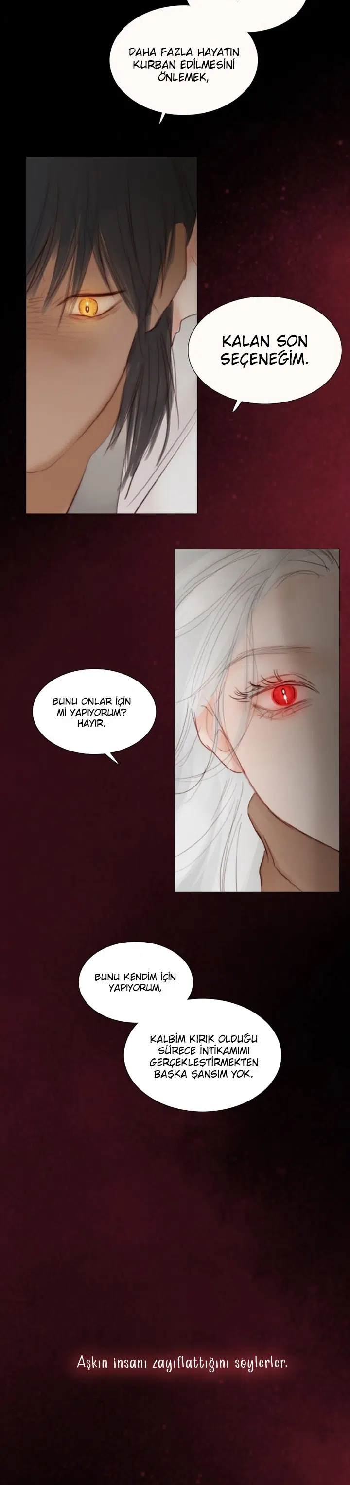 Kara Kış - Bölüm 93 Sayfa 29