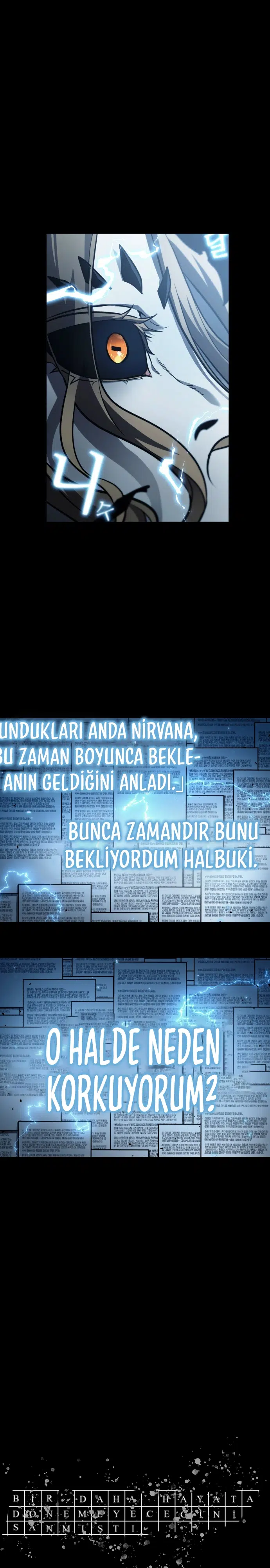 Bilge Okuyucunun Bakış Açısı - Bölüm 164 Sayfa 14