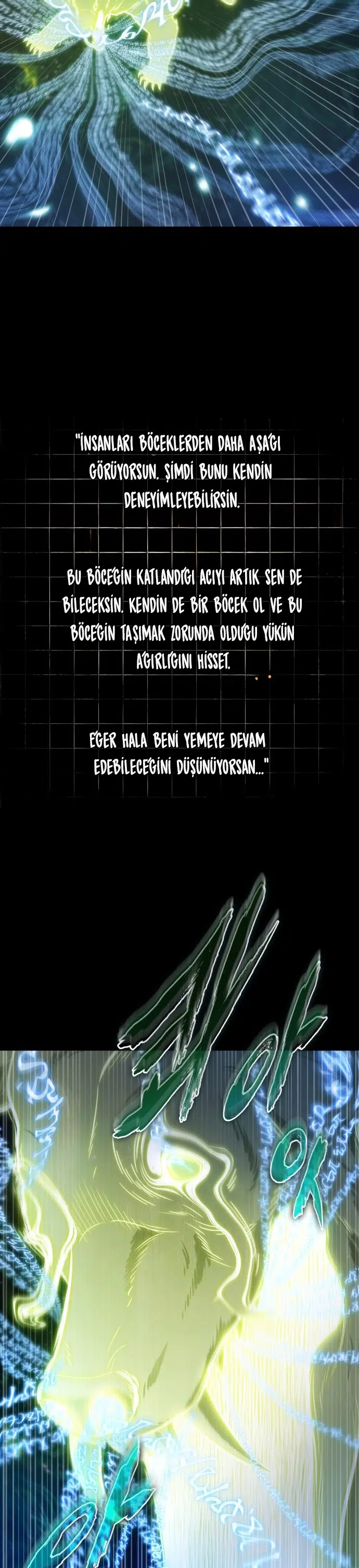 Bilge Okuyucunun Bakış Açısı - Bölüm 207 Sayfa 14