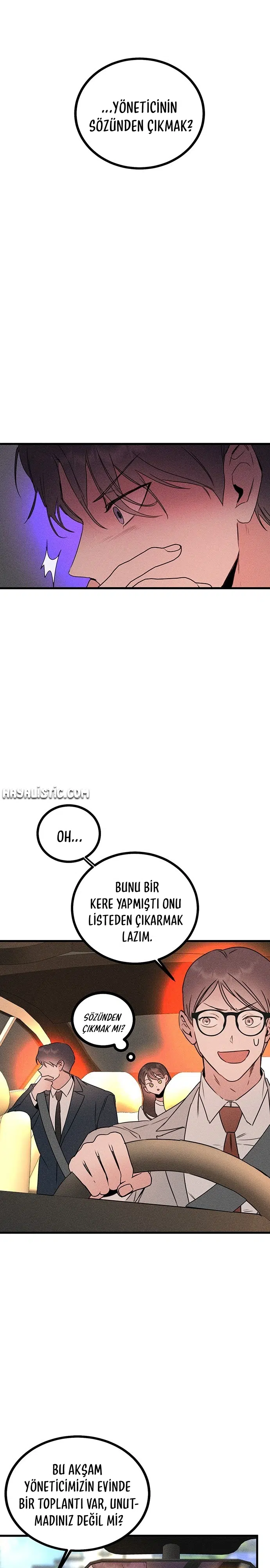 Kız Kardeşimin Sırları - Bölüm 15 Sayfa 19
