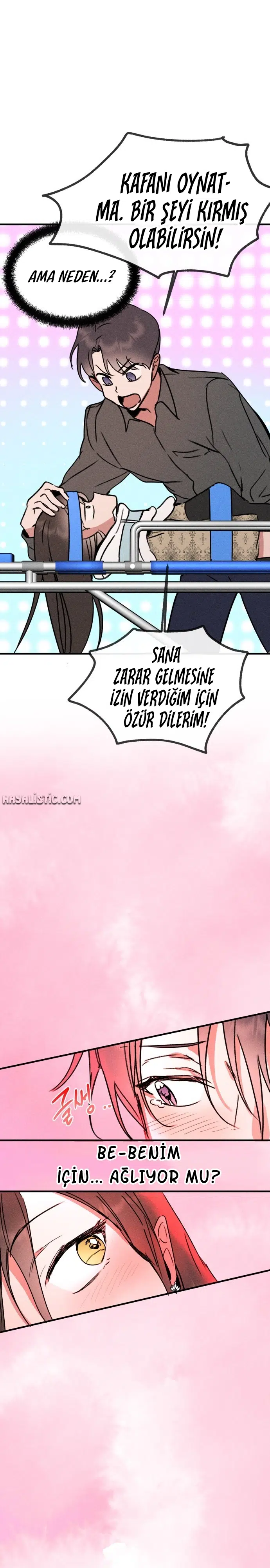 Kız Kardeşimin Sırları - Bölüm 29 Sayfa 17