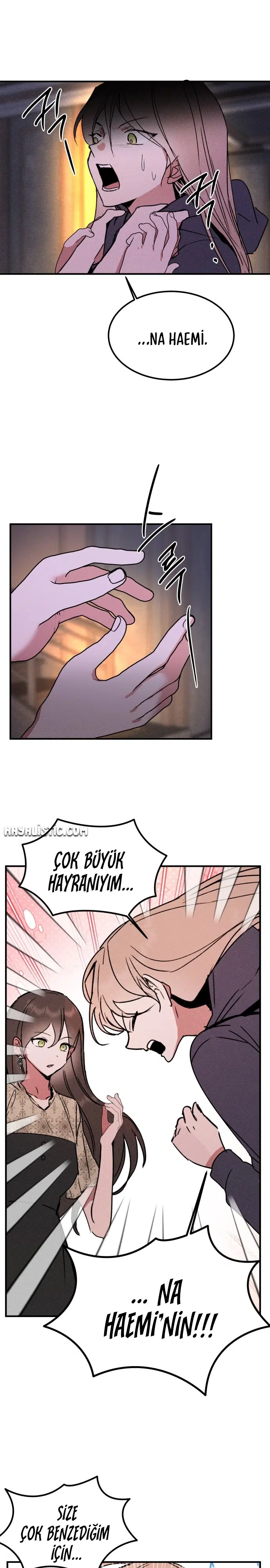 Kız Kardeşimin Sırları - Bölüm 29 Sayfa 25