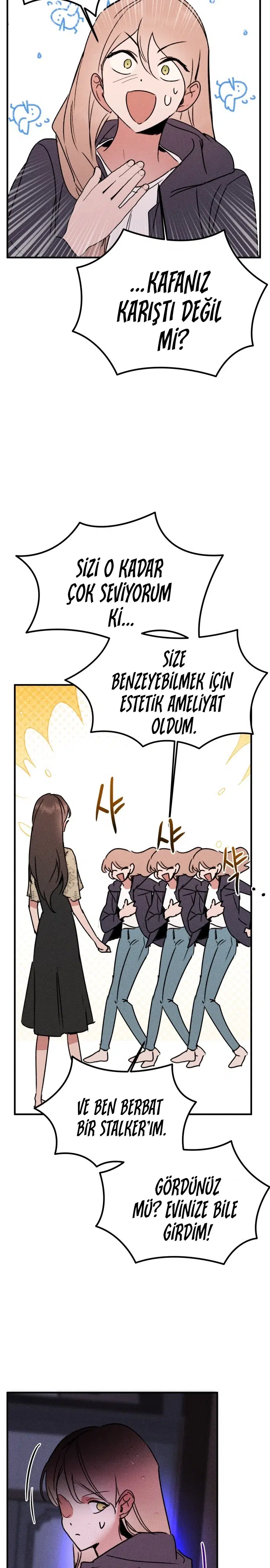 Kız Kardeşimin Sırları - Bölüm 29 Sayfa 26