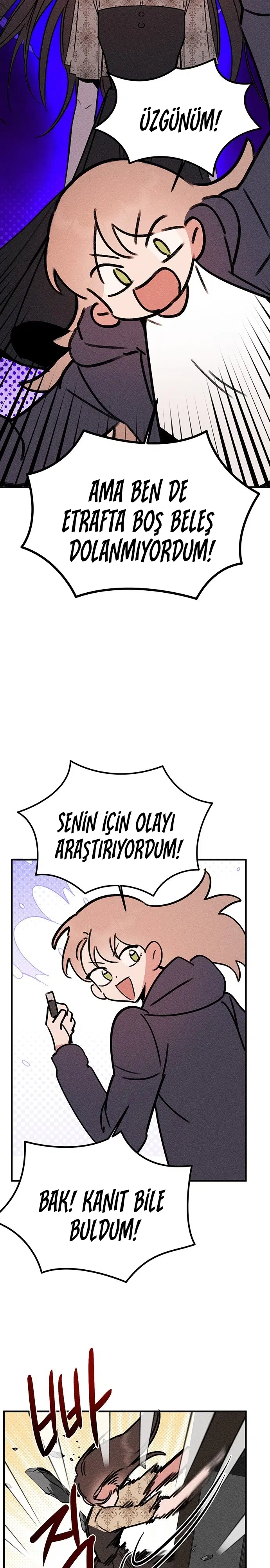Kız Kardeşimin Sırları - Bölüm 30 Sayfa 11