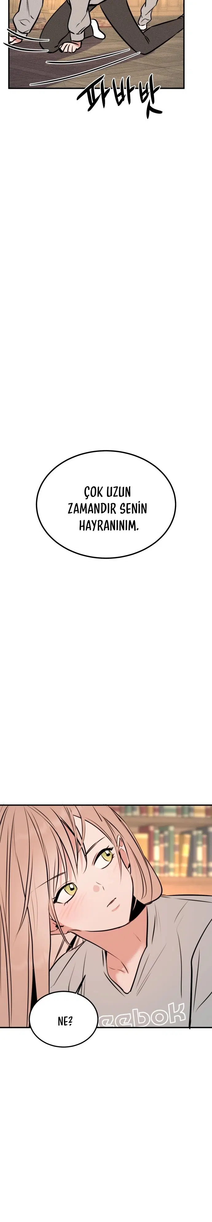 Kız Kardeşimin Sırları - Bölüm 36 Sayfa 29