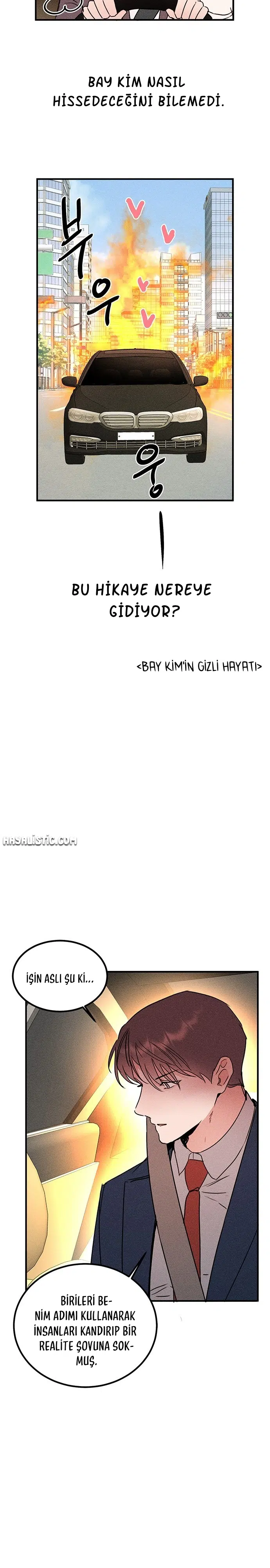 Kız Kardeşimin Sırları - Bölüm 43 Sayfa 17