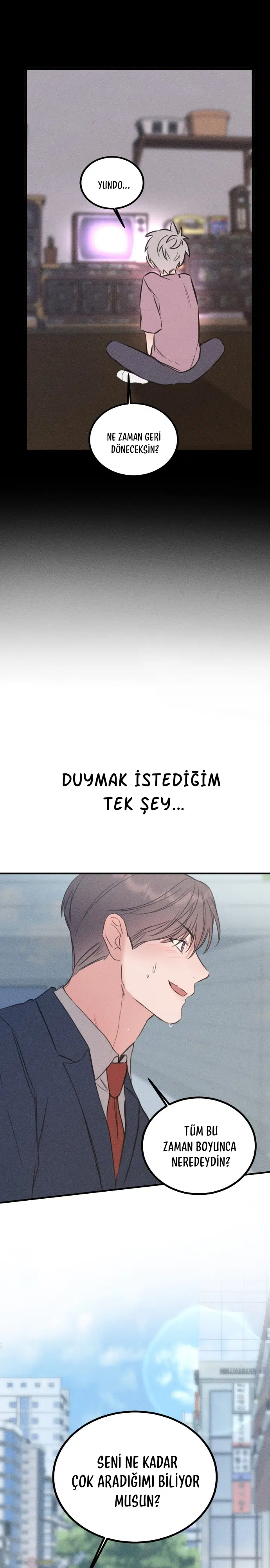 Kız Kardeşimin Sırları - Bölüm 47 Sayfa 15
