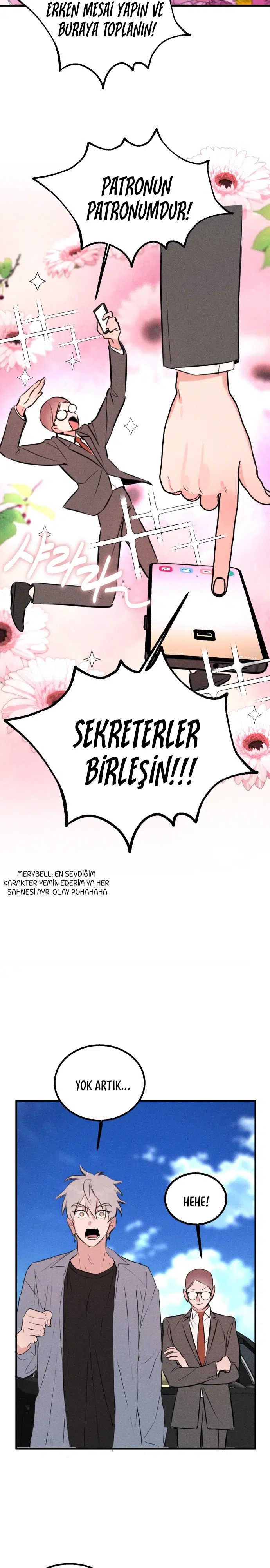 Kız Kardeşimin Sırları - Bölüm 52 Sayfa 17