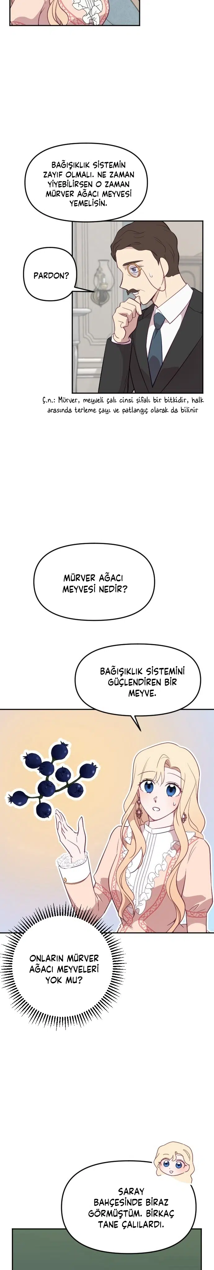 İmparatora Kalbini Ver - Bölüm 24 Sayfa 12