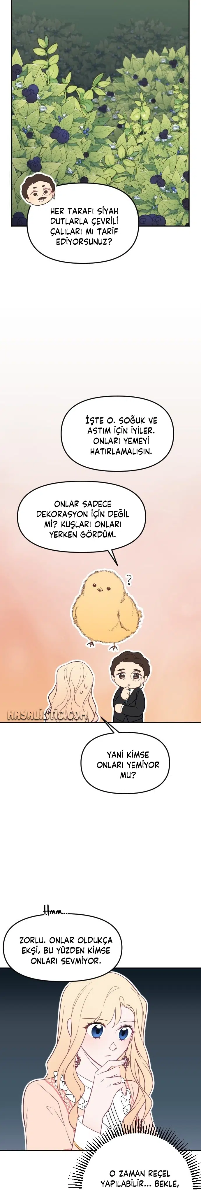 İmparatora Kalbini Ver - Bölüm 24 Sayfa 13