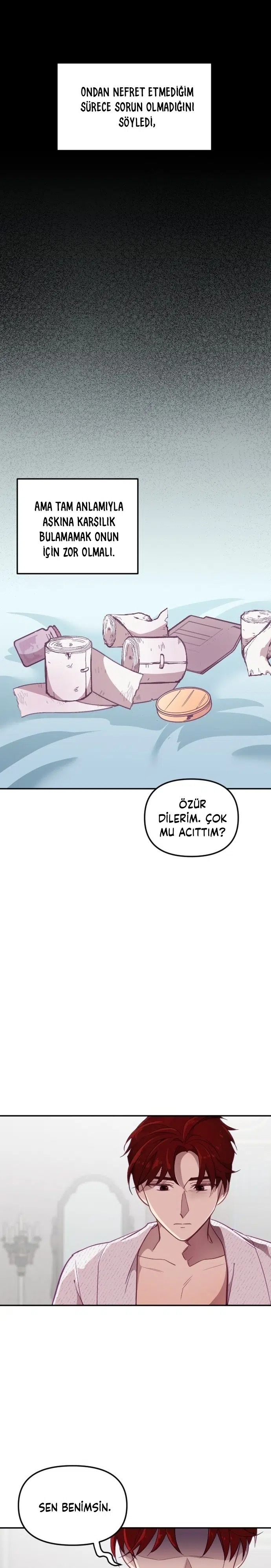 İmparatora Kalbini Ver - Bölüm 25 Sayfa 32
