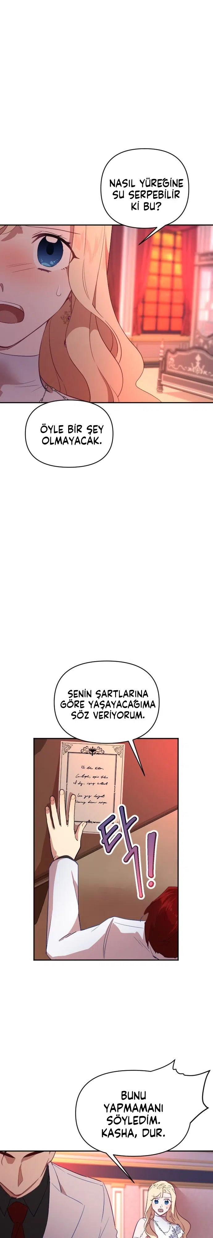 İmparatora Kalbini Ver - Bölüm 34 Sayfa 27