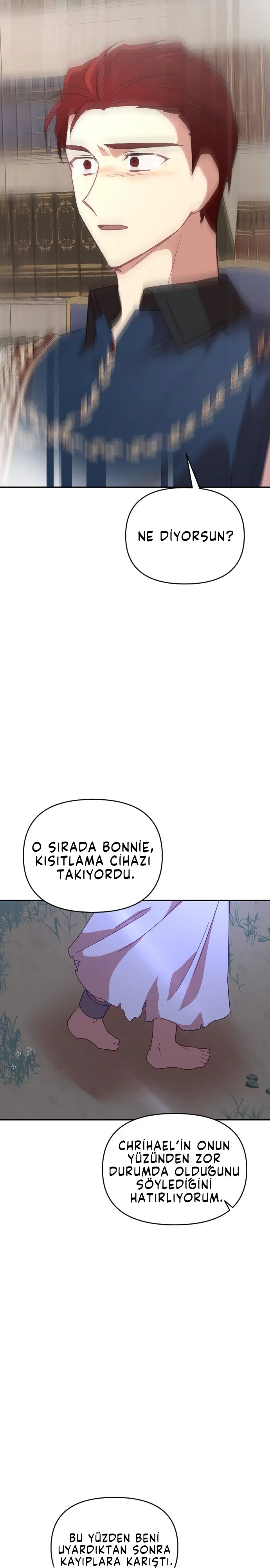 İmparatora Kalbini Ver - Bölüm 38 Sayfa 10