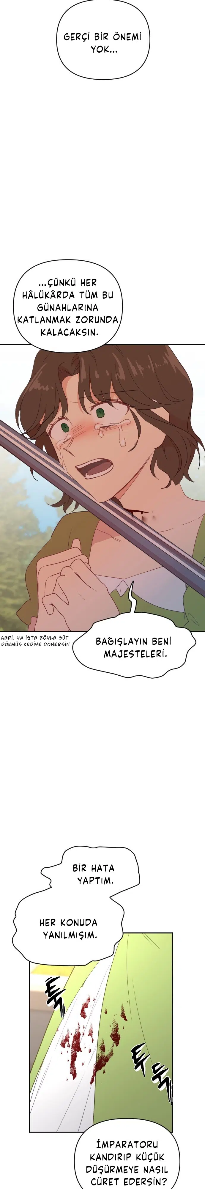 İmparatora Kalbini Ver - Bölüm 44 Sayfa 16