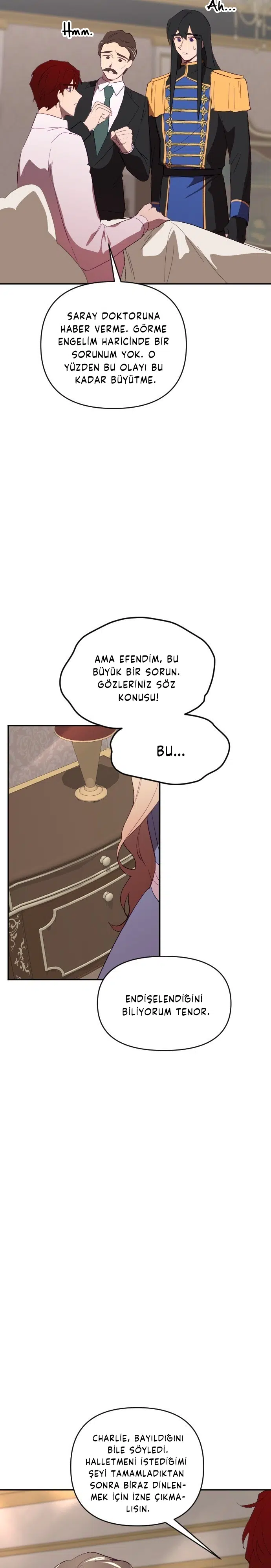 İmparatora Kalbini Ver - Bölüm 53 Sayfa 29