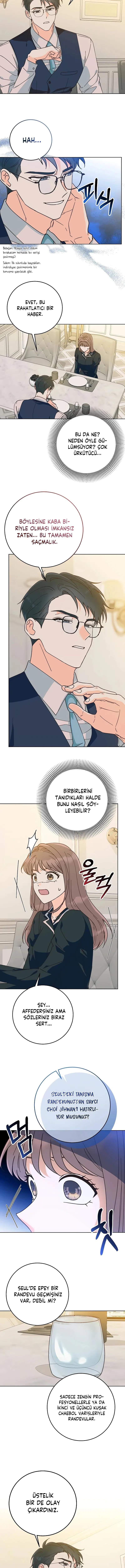 Bahar Ateşi - Bölüm 18 Sayfa 10