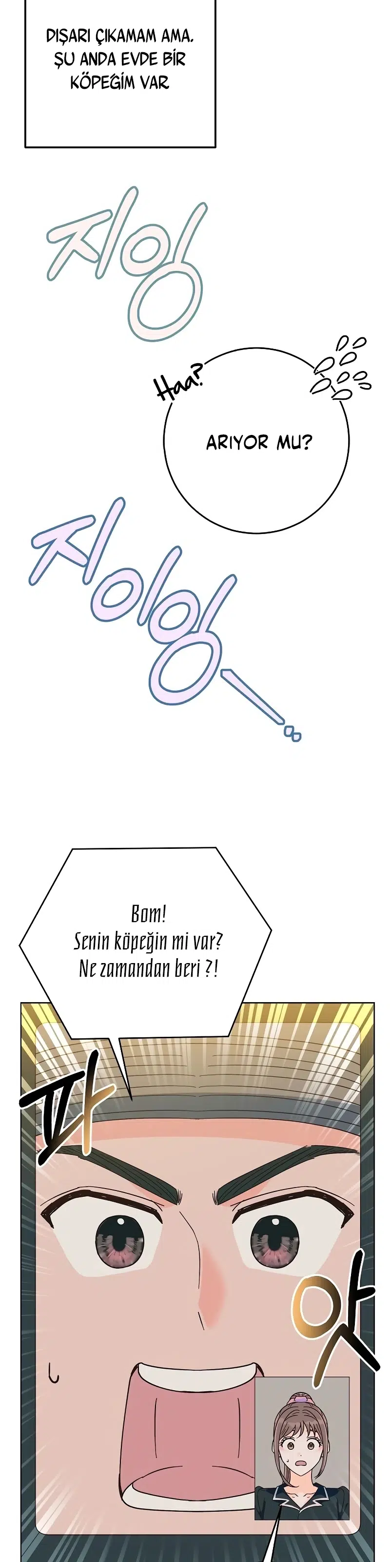 Bahar Ateşi - Bölüm 20 Sayfa 27