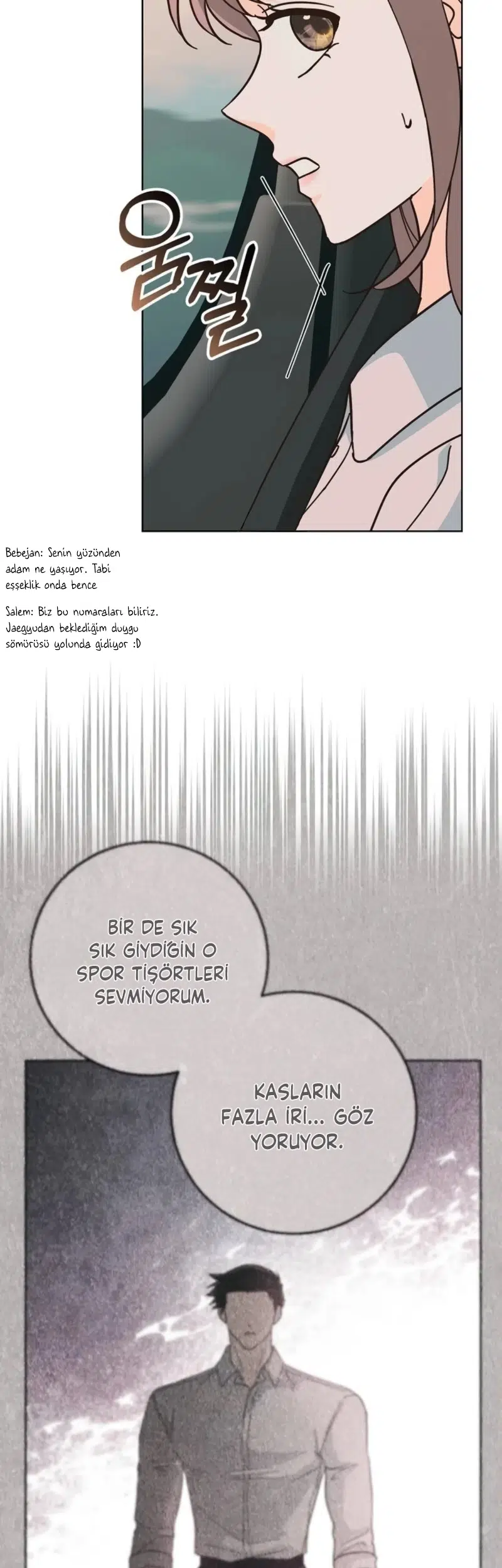 Bahar Ateşi - Bölüm 29 Sayfa 22