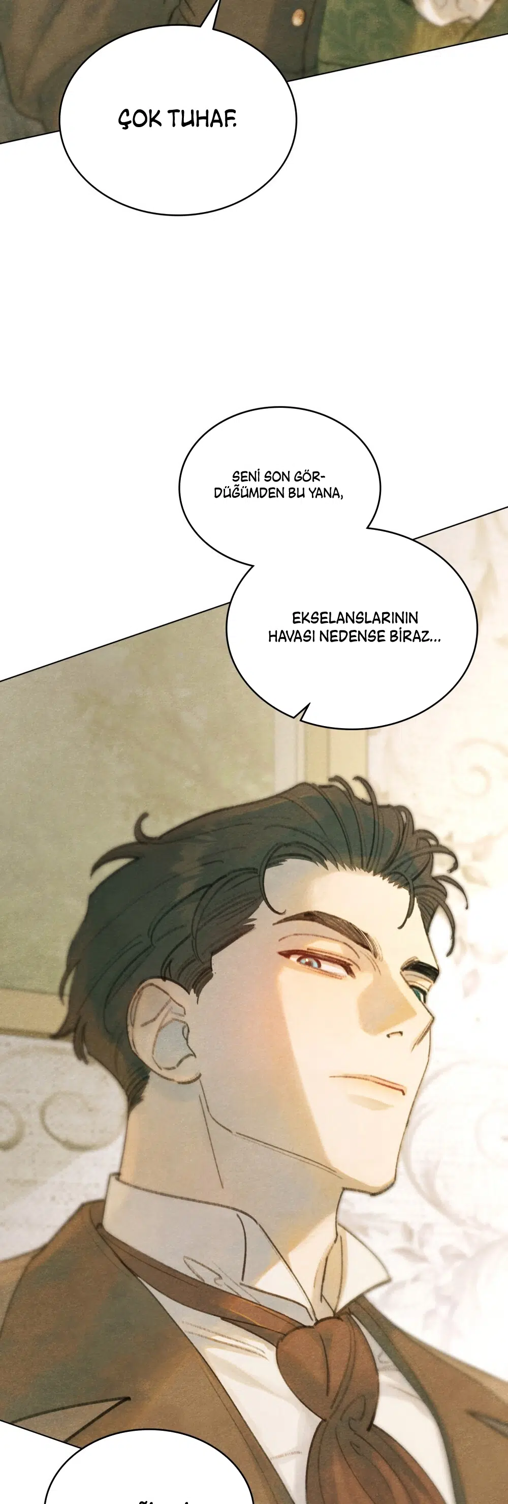 Mayıs Bahçesi - Bölüm 12 Sayfa 17