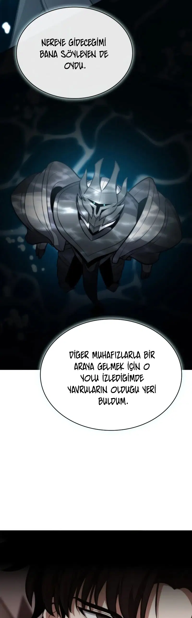 Kaçırılan Ejderhalar - Bölüm 13 Sayfa 29