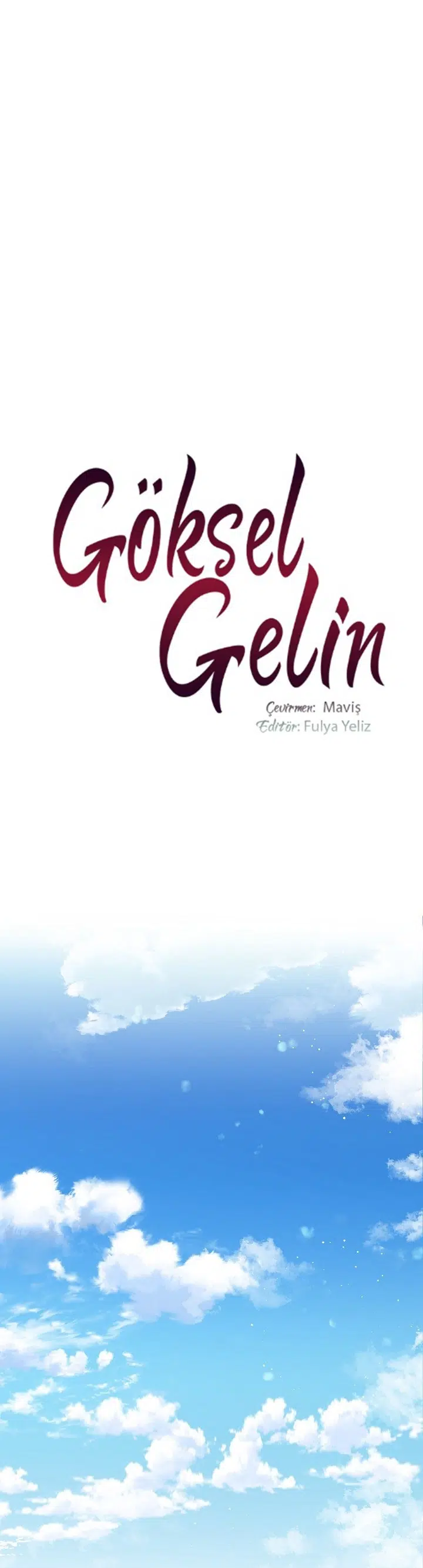 Göksel Gelin - Bölüm 48 Sayfa 12