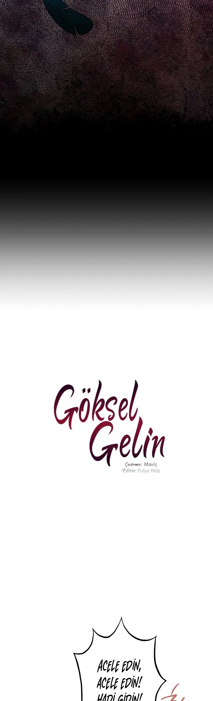 Göksel Gelin - Bölüm 64 Sayfa 6