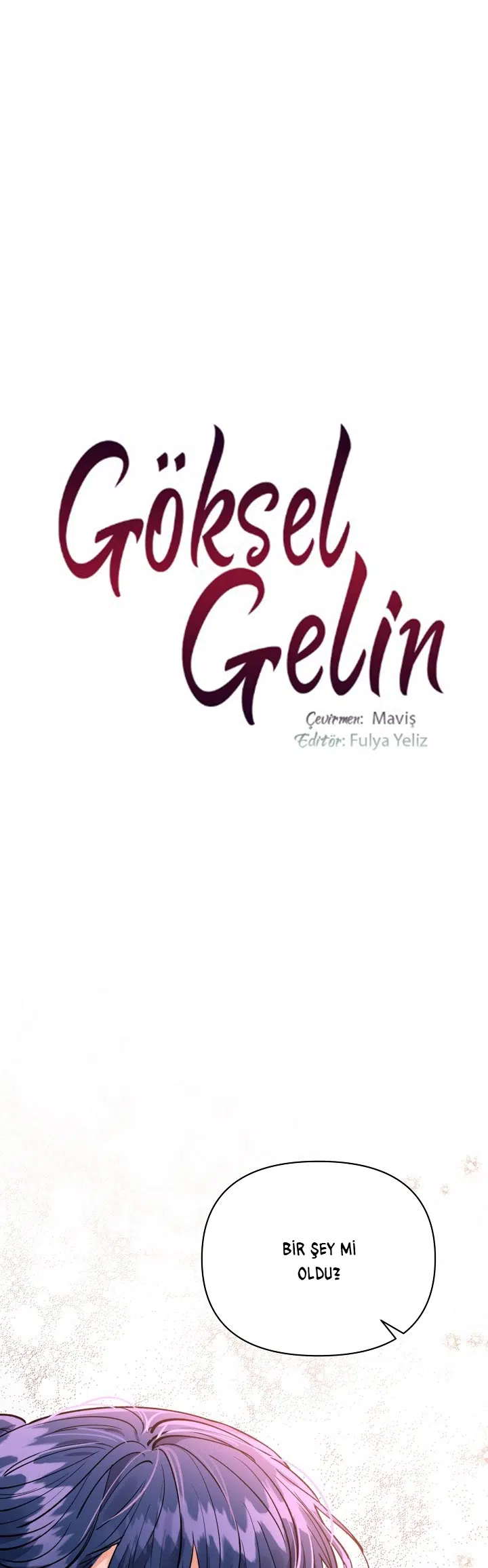Göksel Gelin - Bölüm 67 Sayfa 2