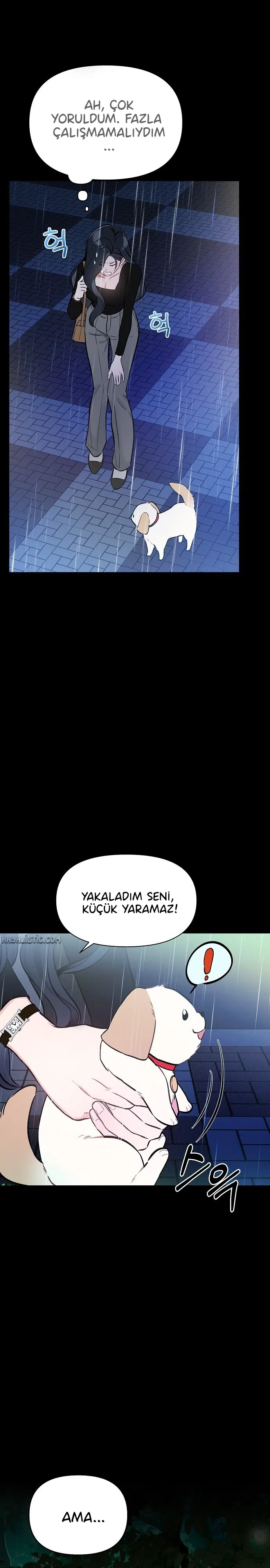 Başkanın Sadık Köpeği - Bölüm 1 Sayfa 25