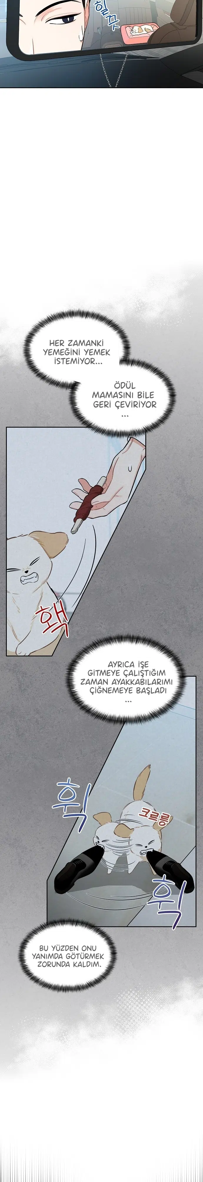 Başkanın Sadık Köpeği - Bölüm 3 Sayfa 8