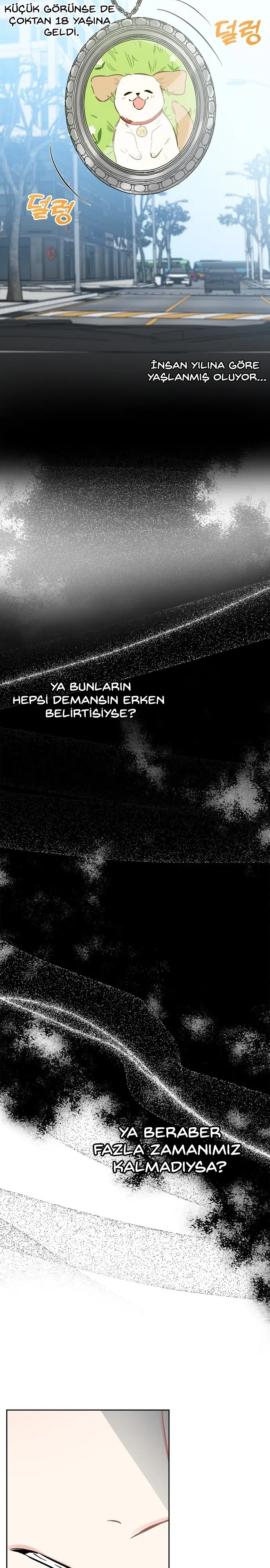 Başkanın Sadık Köpeği - Bölüm 3 Sayfa 10