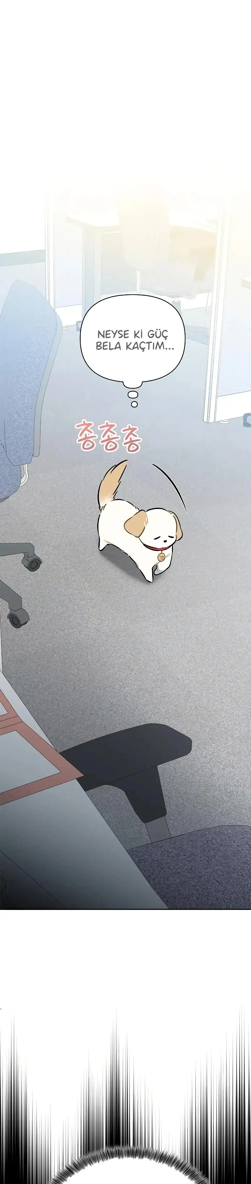 Başkanın Sadık Köpeği - Bölüm 4 Sayfa 24