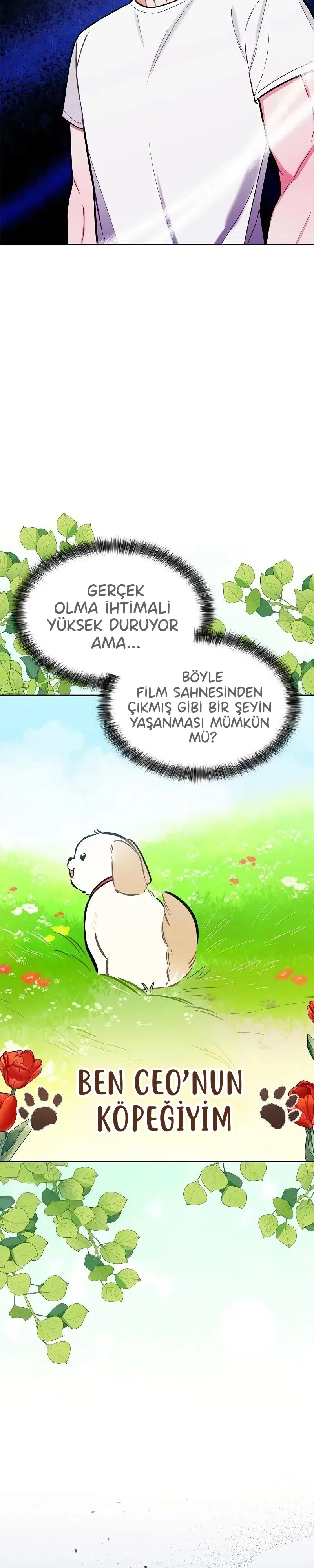Başkanın Sadık Köpeği - Bölüm 5 Sayfa 14