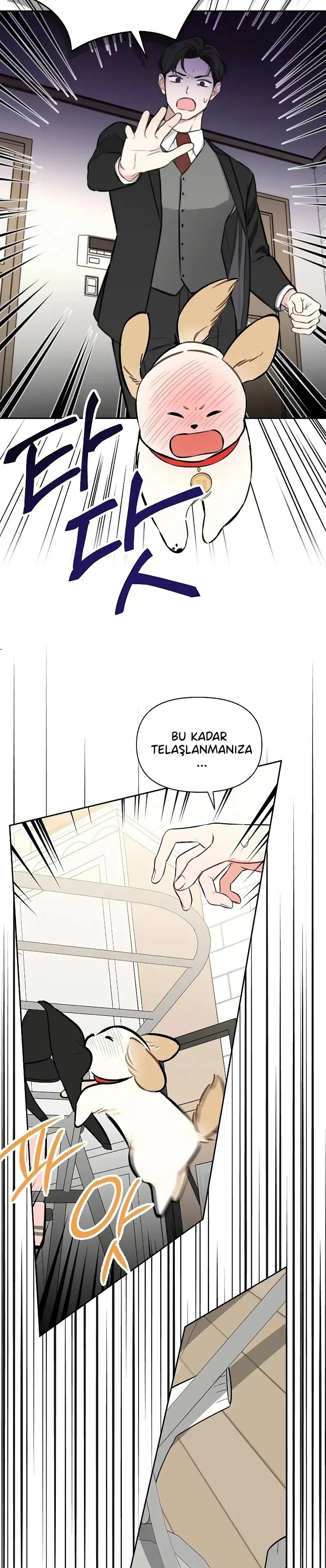 Başkanın Sadık Köpeği - Bölüm 7 Sayfa 14