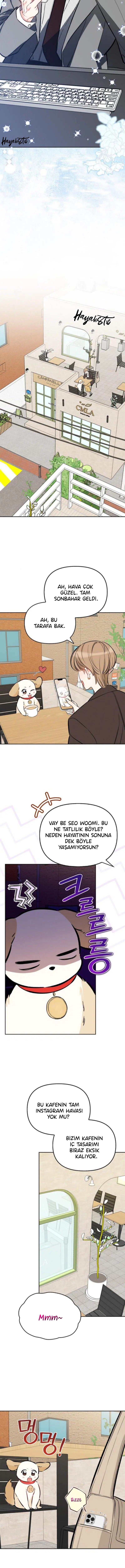 Başkanın Sadık Köpeği - Bölüm 52 Sayfa 9