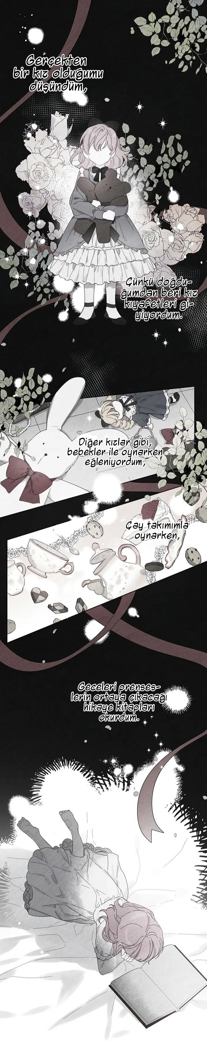 Kardeş Koruma Operasyonu - Bölüm 9 Sayfa 2
