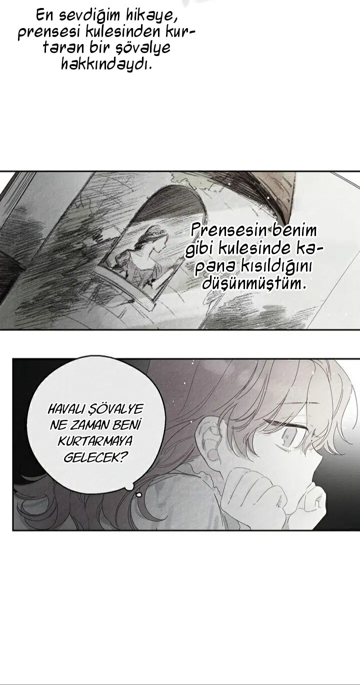 Kardeş Koruma Operasyonu - Bölüm 9 Sayfa 3