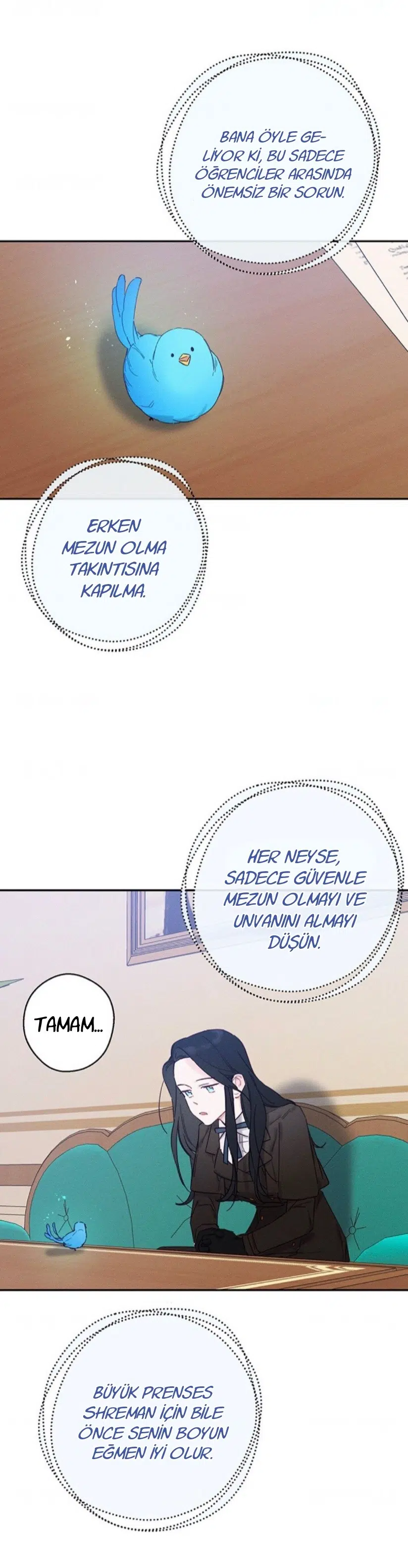 Kardeş Koruma Operasyonu - Bölüm 21 Sayfa 29