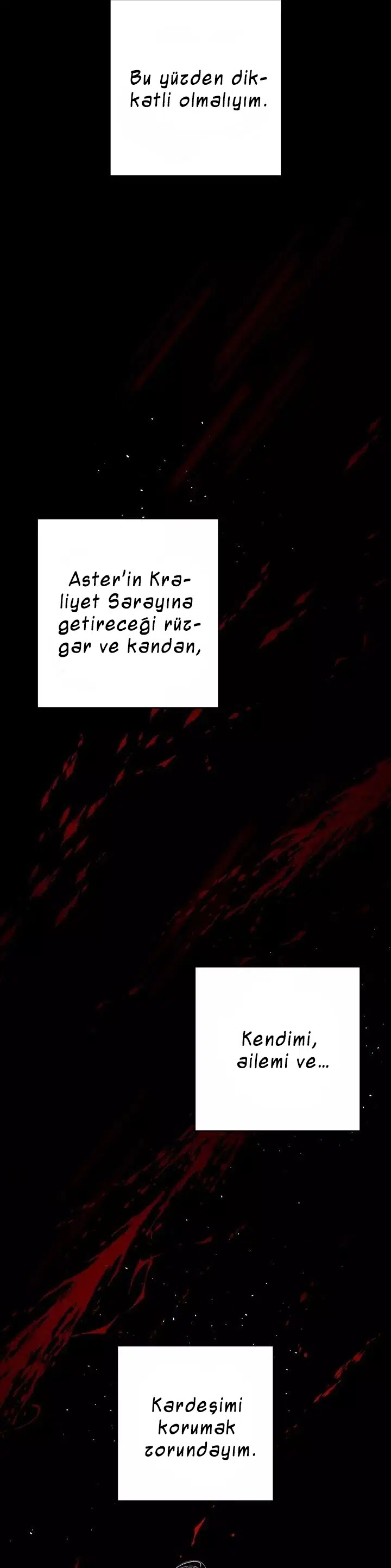 Kardeş Koruma Operasyonu - Bölüm 25 Sayfa 17