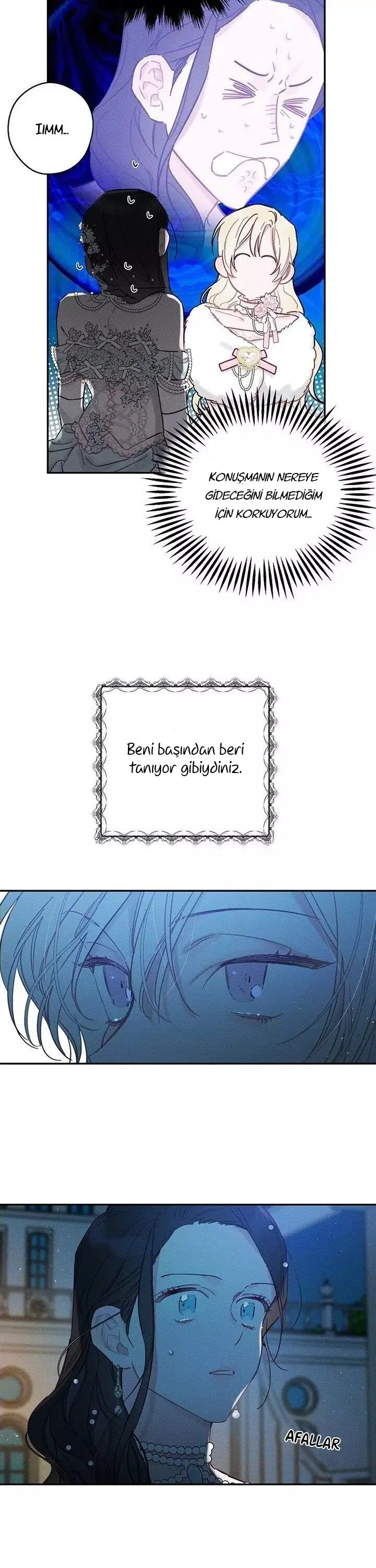 Kardeş Koruma Operasyonu - Bölüm 27 Sayfa 17