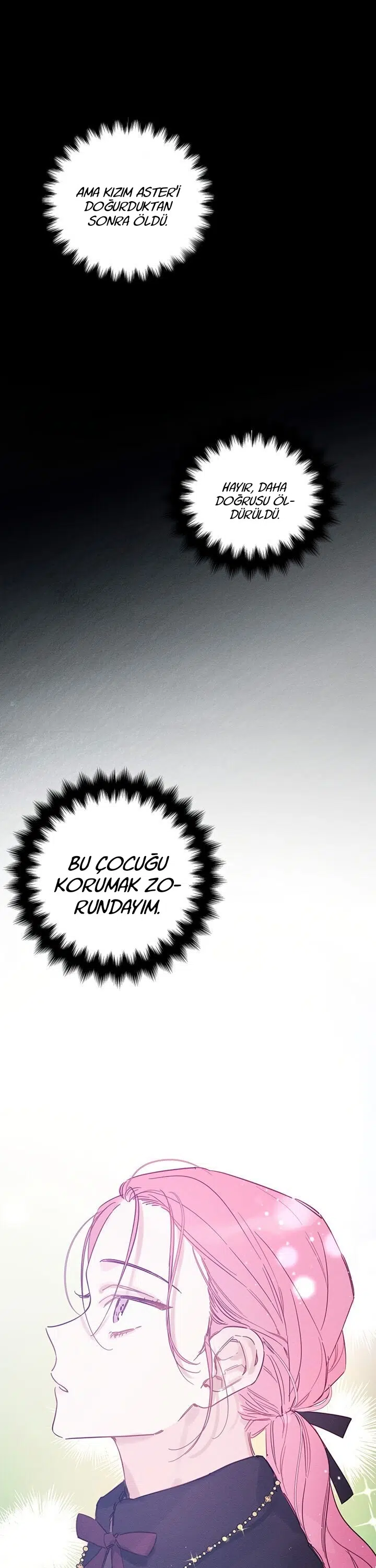 Kardeş Koruma Operasyonu - Bölüm 30 Sayfa 29